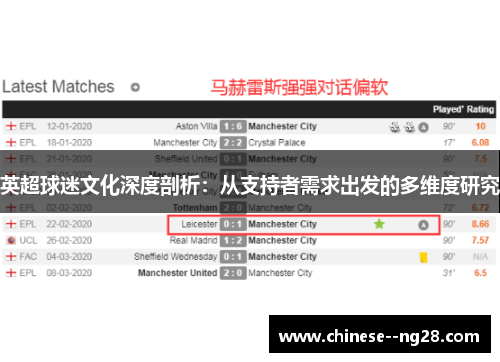 英超球迷文化深度剖析：从支持者需求出发的多维度研究
