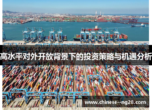 高水平对外开放背景下的投资策略与机遇分析 高水平对外开放背景下的投资策略与机遇分析