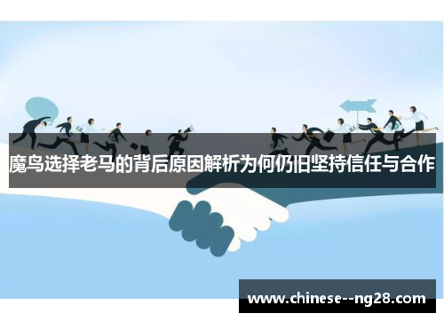 魔鸟选择老马的背后原因解析为何仍旧坚持信任与合作 魔鸟选择老马的背后原因解析为何仍旧坚持信任与合作