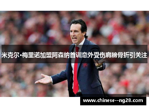 米克尔·梅里诺加盟阿森纳首训意外受伤肩膀骨折引关注 米克尔·梅里诺加盟阿森纳首训意外受伤肩膀骨折引关注