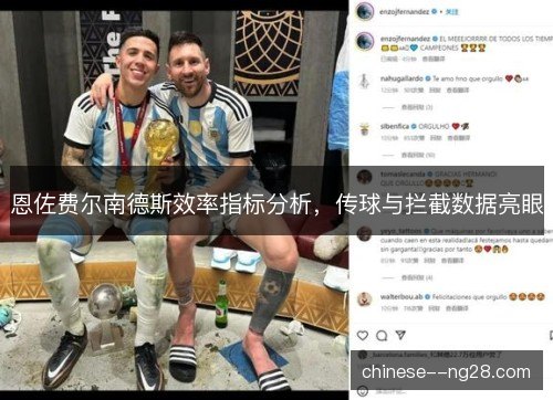 恩佐费尔南德斯效率指标分析，传球与拦截数据亮眼